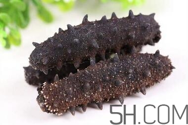 海參是越大越好嗎？海參的生長年限與營養(yǎng)價值有關(guān)嗎？