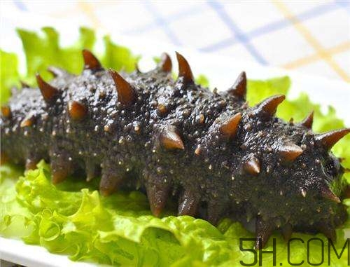 海參哪些部位不能吃？海參的禁忌人群