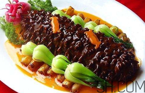 海參是高蛋白食物嗎？海參是素食嗎？