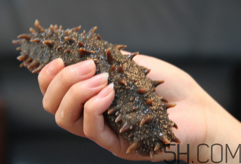 海參能和西紅柿一起吃嗎？海參和什么一起吃最好？