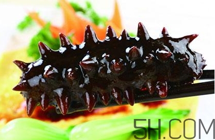 海參是高蛋白食物嗎？海參是素食嗎？