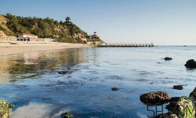 海參顏色深好還是淺好？海參顏色發(fā)白時怎么回事？