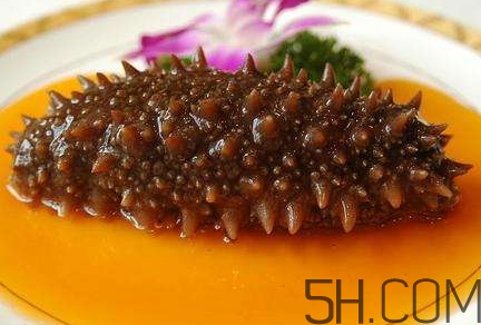 海參怎么挑？海參怎么選購？