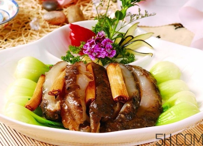 海參是高蛋白食物嗎？海參是素食嗎？