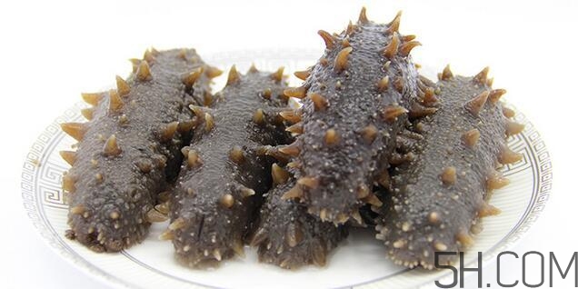 海參是越大越好嗎？海參的生長年限與營養(yǎng)價值有關(guān)嗎？