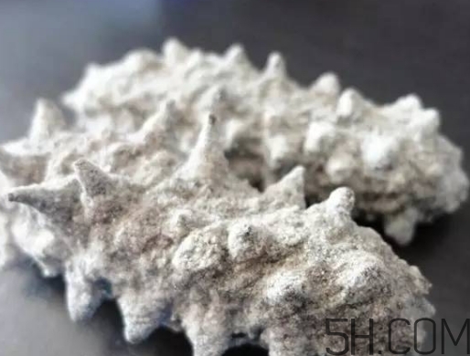 海參顏色深好還是淺好？海參顏色發(fā)白時怎么回事？