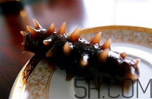 海參的吃法大全 海參怎么做好吃 海參的吃法大全 海參怎么做好吃