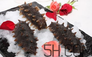 海參是酸性還是堿性？海參是涼性還是熱性？