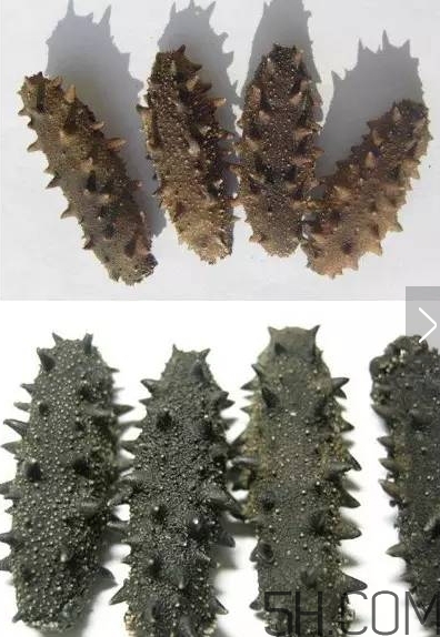 海參顏色深好還是淺好？海參顏色發(fā)白時怎么回事？