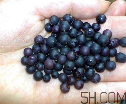 龍葵果可以治癌癥嗎？吃龍葵果有什么好處