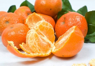 沙糖桔什么時候施鉀肥？沙糖桔什么時候種植