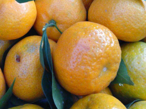 沙糖桔是哪里的特產(chǎn)？沙糖桔什么時候上市