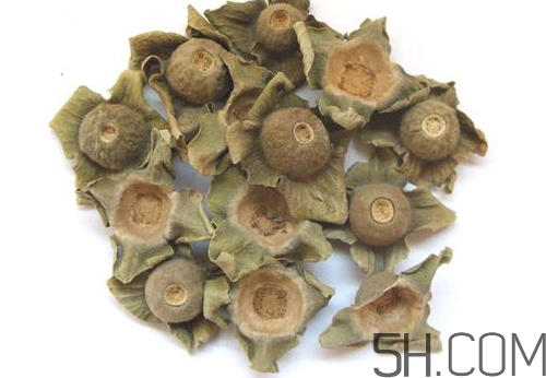 柿蒂治打嗝怎么煮水？柿蒂的功效與作用