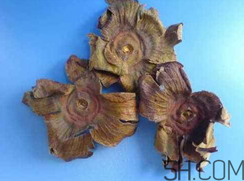 柿蒂治打嗝怎么煮水？柿蒂的功效與作用