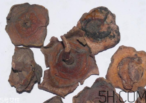 柿蒂是什么東西？柿蒂怎么吃？