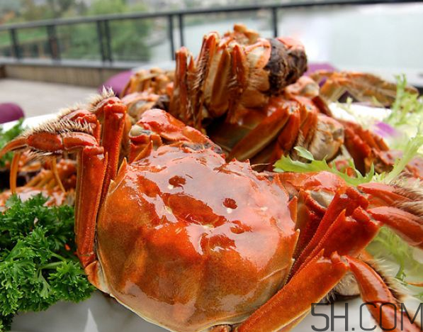 大閘蟹可以和南瓜一起吃嗎？螃蟹不能和什么水果一起吃？
