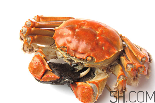 大閘蟹可以和南瓜一起吃嗎？螃蟹不能和什么水果一起吃？