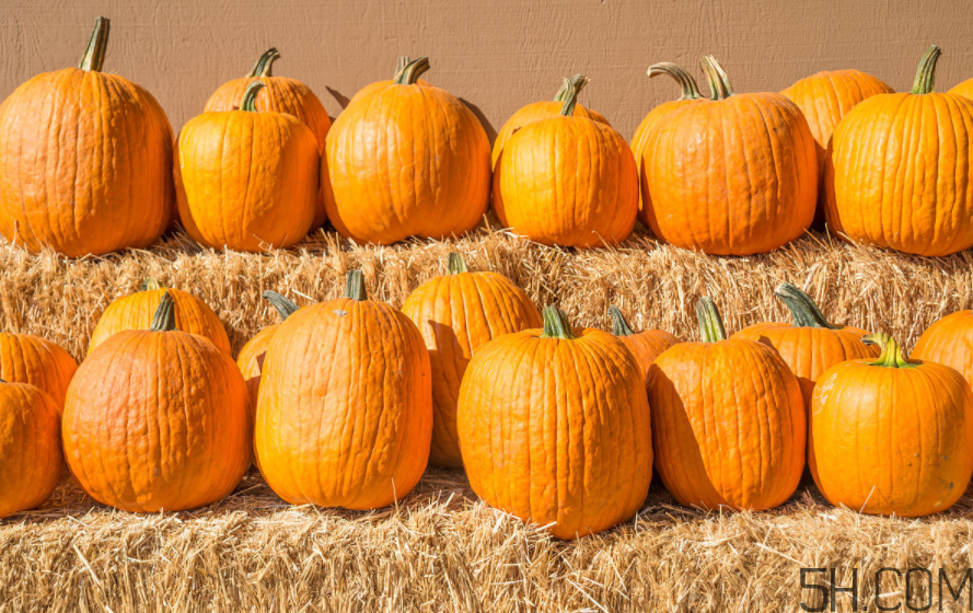 大閘蟹可以和南瓜一起吃嗎？螃蟹不能和什么水果一起吃？