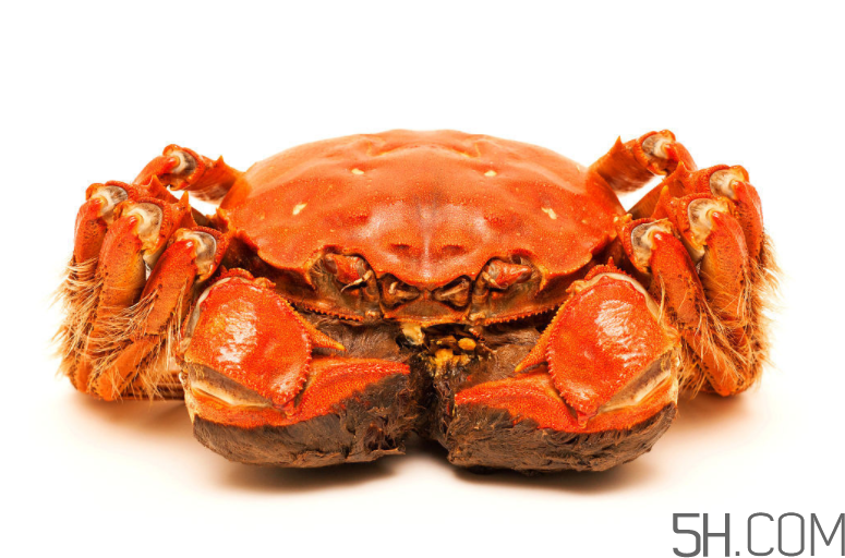 大閘蟹和南瓜一起吃會(huì)有什么后果？大閘蟹和南瓜一起吃要注意什么？