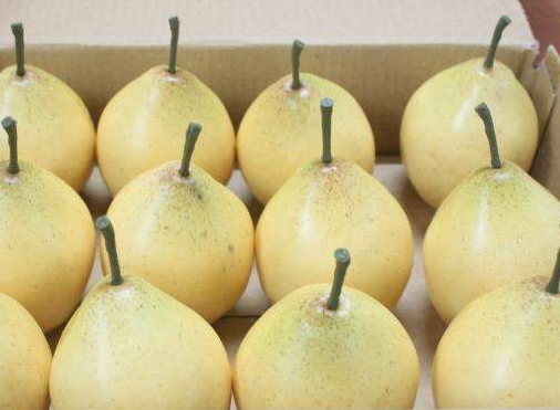 中秋節(jié)可以送水果嗎？中秋節(jié)送什么水果？