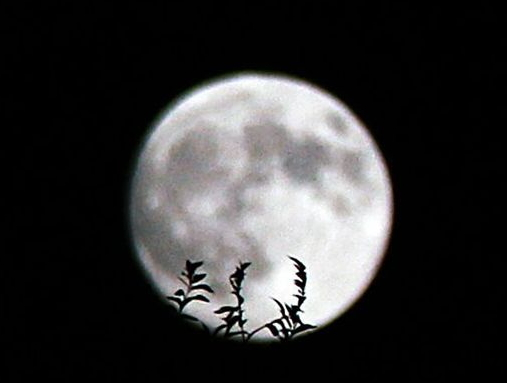 中秋節(jié)能上墳嗎？中秋節(jié)上墳買什么水果？