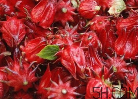 洛神果是什么？洛神果和洛神花區(qū)別