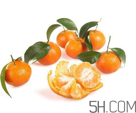 沙糖桔大的好吃還是小的？沙糖桔什么時候成熟