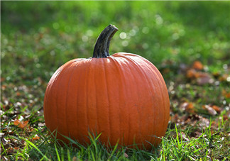 南瓜和桃子一起能長期吃嗎？吃南瓜皮膚變黃怎么辦？