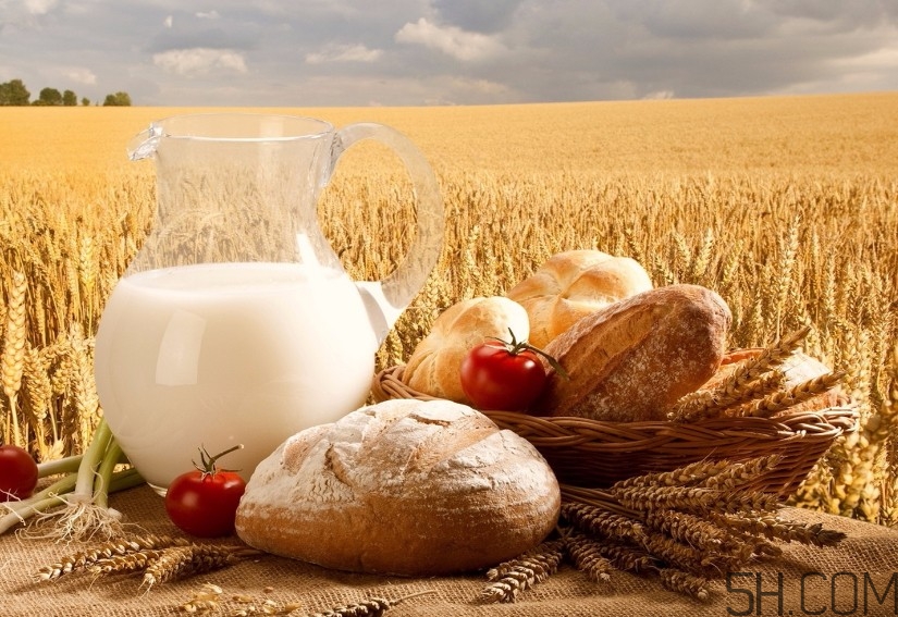 純牛奶好還是早餐奶好？純牛奶和早餐奶有什么區(qū)別