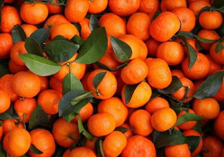 沙糖桔有籽嗎？沙糖桔有什么營養(yǎng)價值