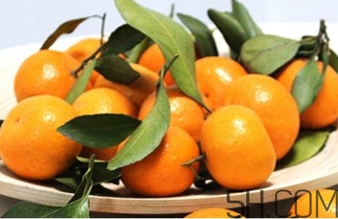 沙糖桔種植幾年才能投產(chǎn)？怎么分辨真假沙糖桔