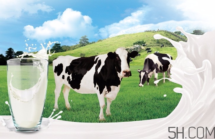 早上喝牛奶拉肚子是怎么回事？早上喝牛奶拉肚子怎么辦？