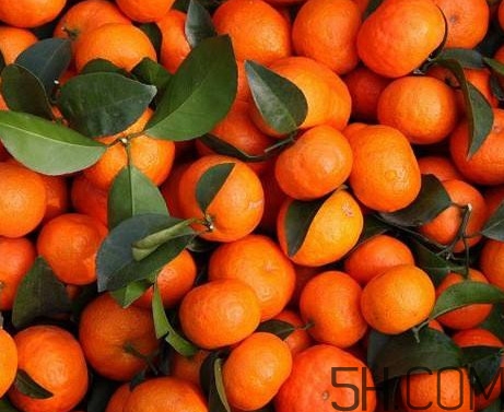 沙糖桔有籽嗎？沙糖桔有什么營(yíng)養(yǎng)價(jià)值