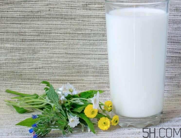 怎樣喝牛奶才健康？牛奶和什么一起喝效果最好？