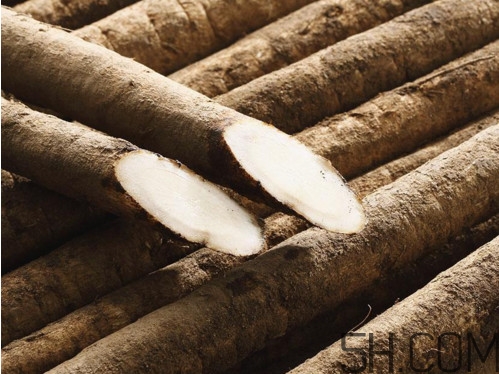 牛蒡是牛大力嗎？牛蒡和牛大力的區(qū)別