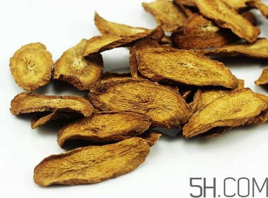 牛蒡是什么東西？牛蒡有什么功效？