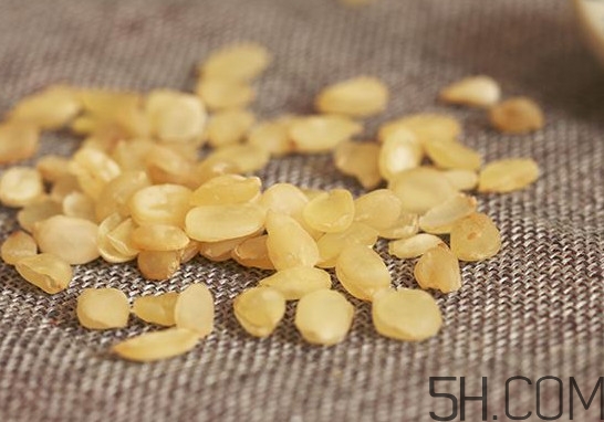 皂角米是熱性還是涼性？皂角米和雪蓮子的區(qū)別