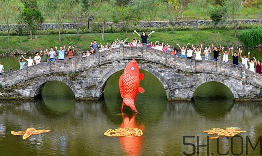 荷包紅鯉魚(yú)的做法 荷包紅鯉魚(yú)怎么養(yǎng)殖