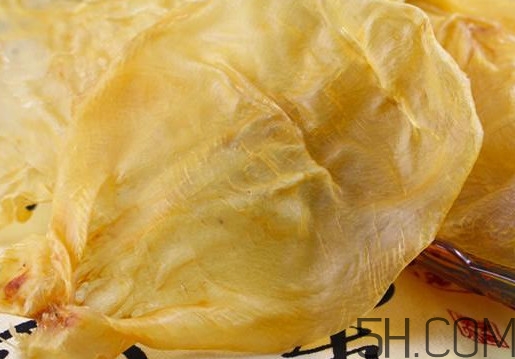 魚膠是魚泡嗎？魚膠是海鮮嗎