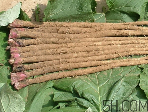 牛蒡是牛大力嗎？牛蒡和牛大力的區(qū)別