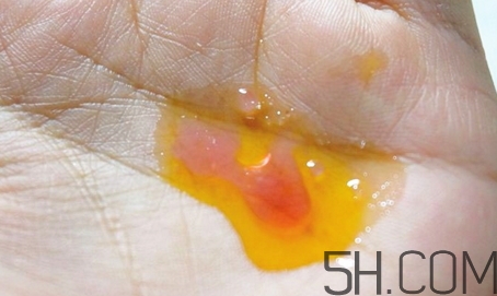 安娜柏林橙花蜜怎么用？安娜柏林橙花蜜使用方法