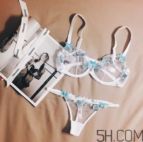 agent provocateur什么價(jià)位？agent provocateur內(nèi)衣價(jià)格