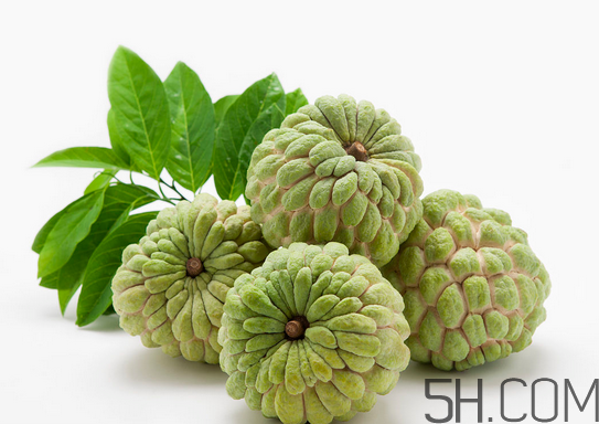 2017釋迦多少錢一斤?2017釋迦價格 2017釋迦多少錢一斤?2017釋迦價格