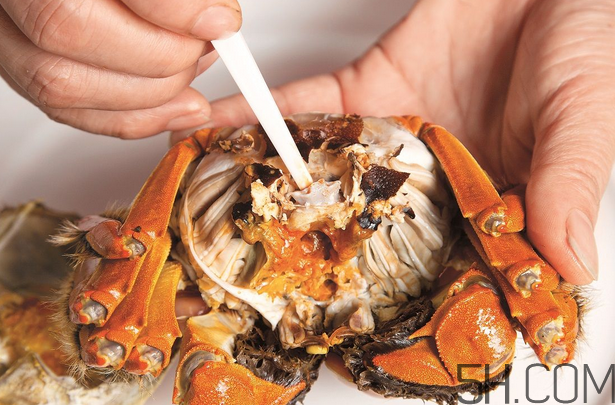 蟹心為什么不能吃?吃了蟹心怎么辦? 蟹心為什么不能吃?吃了蟹心怎么辦?