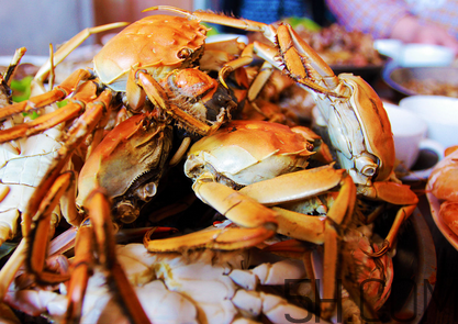 蟹心為什么不能吃?吃了蟹心怎么辦? 蟹心為什么不能吃?吃了蟹心怎么辦?