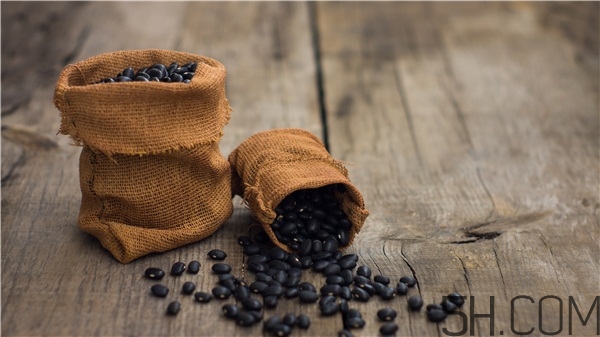 黑豆起了蟲子還能吃嗎 黑豆生蟲子還能吃嗎 黑豆起了蟲子還能吃嗎 黑豆生蟲子還能吃嗎