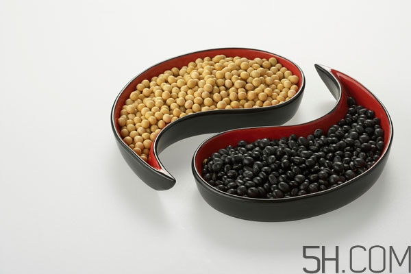 黑豆起了蟲子還能吃嗎 黑豆生蟲子還能吃嗎 黑豆起了蟲子還能吃嗎 黑豆生蟲子還能吃嗎