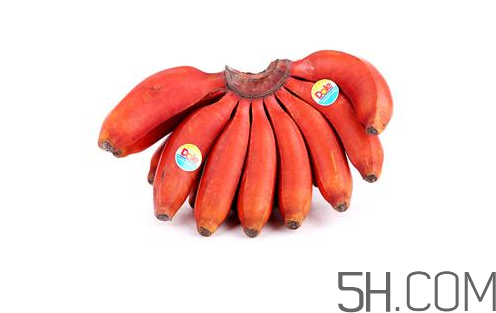 紅香蕉和普通香蕉的區(qū)別？香蕉可以放冰箱冷凍嗎？