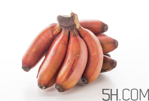 紅香蕉和普通香蕉的區(qū)別？香蕉可以放冰箱冷凍嗎？