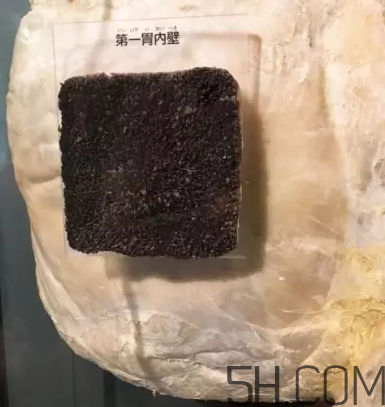 牛百葉和毛肚是一個(gè)東西嗎？牛百葉上面有層黑皮能吃嗎？